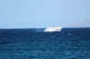 Breach04.jpg (111280 bytes)