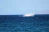 Breach05.jpg (112983 bytes)