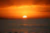 IMG_0571.JPG (98188 bytes)