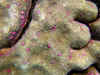 IMG_8707.JPG (378346 bytes)