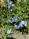 Img_5494.jpg (245713 bytes)