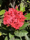 Img_5964.jpg (131469 bytes)