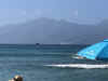 Img_5618.jpg (81621 bytes)